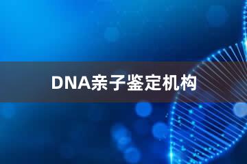 潮州DNA亲子鉴定机构